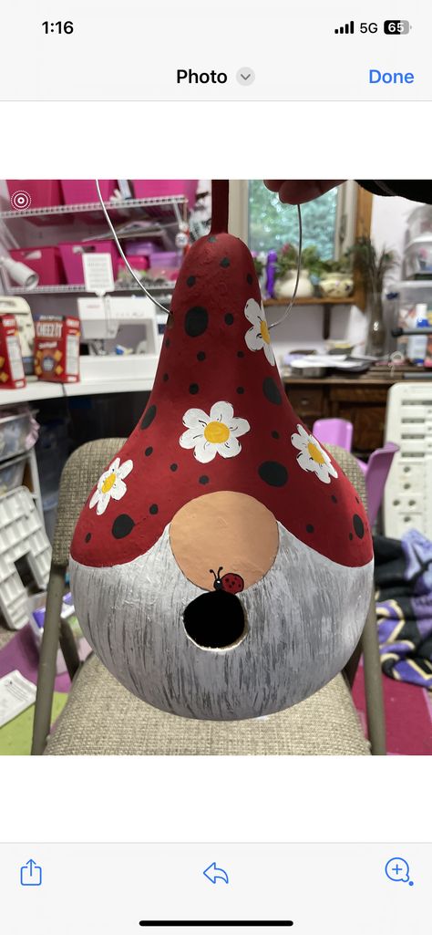 How To Paint Gourds Tutorials, Diy Painting Gords, Painted Apple Gourds Ideas, Gnome Gourd Painting, Gnome Gourds Painted, Gord Bird House Ideas, Gourd Birdhouse Ideas Painting Patterns, Gourd Bird Houses Painted, Painting Gourds Ideas Diy