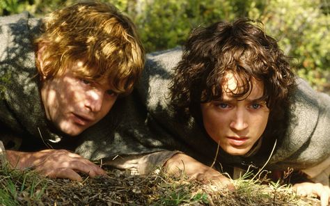 Sam and Frodo Lotr Cast, Samwise Gamgee, Two Towers, Frodo Baggins, Elijah Wood, The Two Towers, The Shire, Fellowship Of The Ring, Italian Men