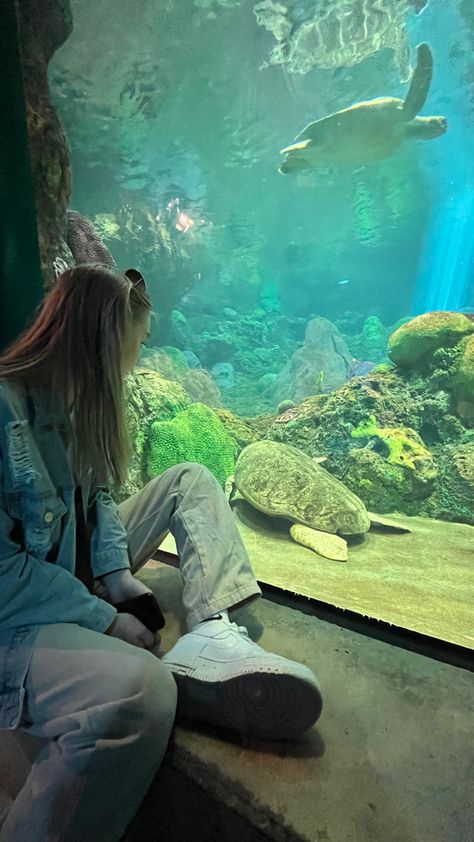 Aquarium Photo Ideas Aesthetic, Aquarium Story Insta, Ocean Pictures Ideas Instagram, Aquarium Inspo Pics, Zoo Instagram Pictures, Zoo Instagram Story, Aquarium Captions Instagram, Aquarium Pose Ideas, Aquarium Pictures Ideas