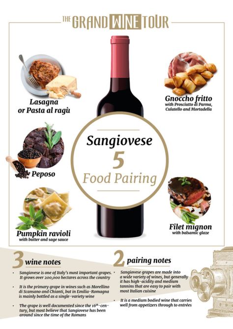 how to pair sangiovese wine Wine Parings, Pasta Al Ragu, Sangiovese Wine, Wine Paring, Wine Cheers, Pumpkin Ravioli, Wine And Cheese Party, Food Pairing, Napa Wine