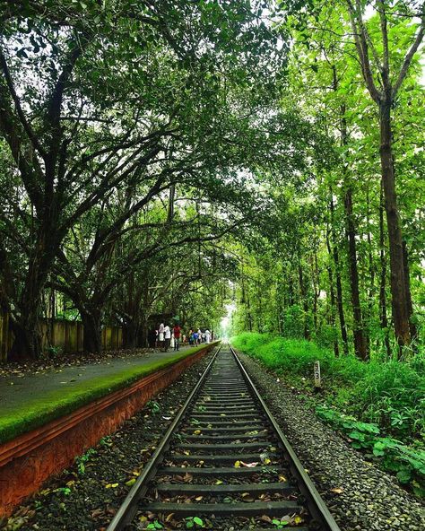 India Photo, Indian Railways, Photo Background Images, Picture Credit, Photo Background, Mobile Photography, Photo Backgrounds, Railroad Tracks, Photo Credit