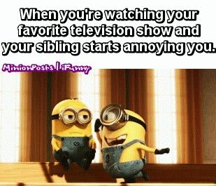 Aha everytime Sibling Memes Funny, Funny Sister Memes Sibling, Ninjago Memes So True, Brother And Sister Memes Hilarious, Minion Gif, Minion Best Friend Memes, Clean Humor, Minions Funny, Make You Smile