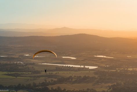 Best things to do on Tamborine Mountain – 2D1N Gold Coast itinerary Glow Worm Cave, Glasshouse Mountains, Tamborine Mountain, Cedar Creek, Surfers Paradise, The Rainforest, Forest Floor, Animal Species, Elopement Locations