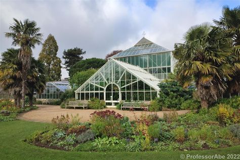 Cambridge University Botanic Gardens Cambridge Botanical Gardens, Blue Stockings, Garden Greenhouse, Cambridge University, Botanic Gardens, University Campus, Travel Time, Botanic Garden, Botanical Garden