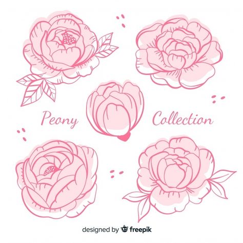 Ako Kresliť, Peony Drawing, Peony Illustration, Arte Doodle, Peony Art, Flower Drawing Tutorials, Flower Art Drawing, Flower Sketches, Floral Drawing