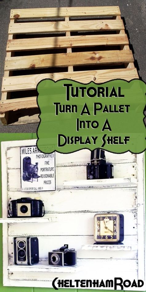 Tutorial: Pallet Wood Display Shelf – Cheltenham Road Pallet Display Ideas, Pallet Display, Camera Display, Pallet Shelves, Potting Bench, Pallet Crafts, Old Pallets, Wood Pallet Projects, Pallet Art