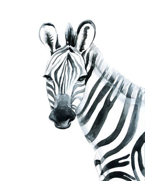 Watercolour Wall Art, Zebra Canvas, Watercolour Wall, 수채화 그림, Watercolor Walls, Drawing Inspo, Watercolor Wall Art, Watercolor Animals, Animal Illustration