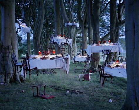 Tim Walker Photography, Trippy Aesthetic, Tim Walker, Party Photography, Garden Photography, Paris Photo, Glamour Photography, Nagasaki, London Photos