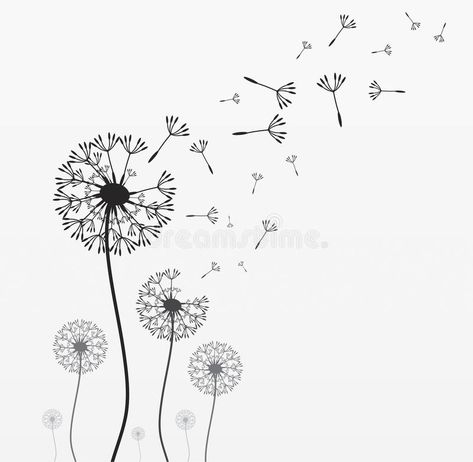 How To Draw Fireworks, Dandelion Drawing, Dollar Photo, Flower Pattern Drawing, Dandelion Art, Dandelion Tattoo, Flower Art Drawing, Photo Club, Heart Drawing