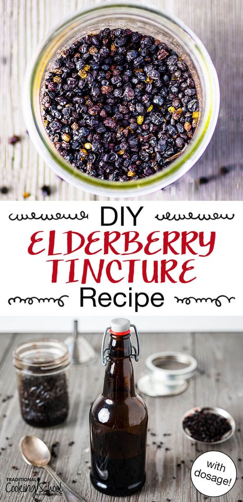 If you've ever wondered about the benefits of making a homemade elderberry tincture, then we've got the recipe for you. Learn how to make this immune-boosting, cold and flu-fighting recipe with step by step instructions... including dosage information for kids and adults, how to use it safely, tips and more. #elderberry #tincture #DIY Tincture For Colds, Cold Tincture, Immunity Tincture Recipe, Medicinal Tinctures, Elderberry Tincture Recipe, Dried Elderberry Tincture Recipe, Ancient Herbs, Elderberry Tincture, Fresh Elderberry Tincture Recipe