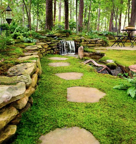 Moss Lawn, Growing Moss, Desain Lanskap, Moss Garden, Ground Cover Plants, Have Inspiration, The Secret Garden, Woodland Garden, Green Forest