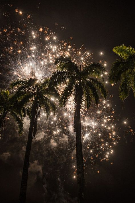 Firework show, tropical, New Year celebration. Original public domain image from Flickr | free image by rawpixel.com / U.S. Embassy Ghana (Source) Night Palm Trees, New Years Fireworks, Night Palm, 2024 Manifestations, Fireworks Wallpaper, Fireworks Images, Firework Show, Tropical Night, New Year Fireworks