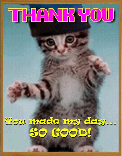 Free Online Greeting Cards, Ecards, Animated Cards, Postcards, Funny Cards From 123Greetings.com Thank You Cat Images, Funny Thank You Pictures, Thank You Images Funny, Funny Thank You Quotes, Deceived Quotes, Thanks Gif, Funny Talking, Good Morning Smiley, Thank You Pictures