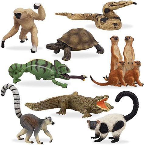 Animal Planet Toys, Madagascar Animals, Ruffed Lemur, Animal Figurine Toys, Zoo Toys, Jungle Animals Party, Animals Party, Giant Tortoise, Jungle Forest