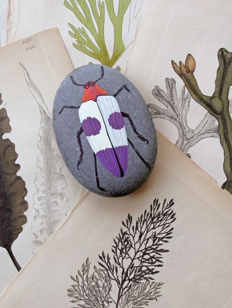 Jewel Beetle stone | by Geninne Geninne Zlatkis, Bug Rocks, Caillou Roche, Jewel Beetle, Drawing Rocks, Group Art Projects, Beetle Art, Art Pierre, Halloween Rocks