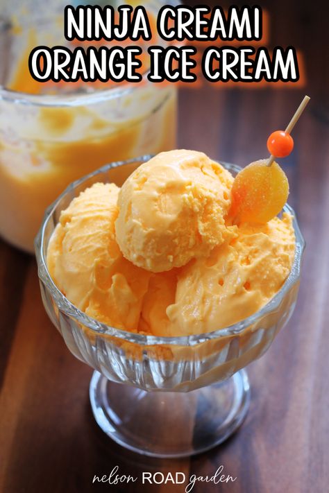 Make this super creamy Ninja Creami orange ice cream with ease! Only three ingredients needed to make this delicious treat. Orange Sherbet Ninja Creami, Ninja Creami Orange Sherbet, Orange Ninja Creami, Ninja Creami Orange Creamsicle, Orange Ice Cream Recipe, Ninja Creamy, Ninja Ice Cream Recipe, Sherbet Recipes, Granita Recipes