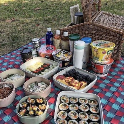 Picnic Food Ideas Asian, Asian Picnic Food Ideas, Korean Picnic Aesthetic, Korean Picnic, Picnic Date Food, Picnic Box, The Picnic, Picnic Food, Okinawa Japan