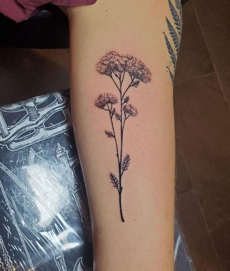 Yarrow Flower Tattoo Simple, Yarrow Plant Tattoo, Native Plant Tattoo, Yarrow Flower Tattoo, Dried Flower Tattoo, June Tattoo, Botanical Tattoos, Knee Tattoos, Biblical Tattoos