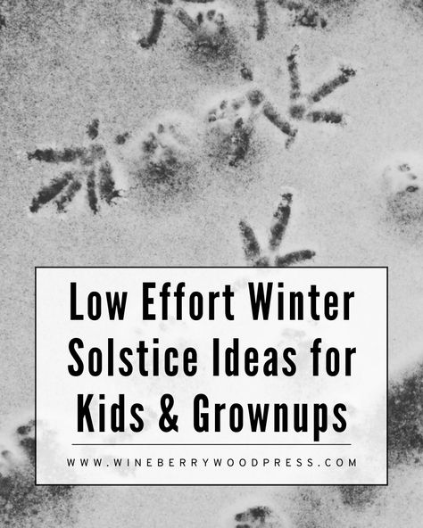 Low Effort Winter Solstice Ideas – Wineberry Wood Press Winter Solstice For Kids, Winter Solstice Crafts For Kids, Winter Solstice Crafts, Winter Solstice Aesthetic, Hike Pictures, Solstice Traditions, New Years Eve Pictures, Winter Solstice Party, Winter Solstice Traditions