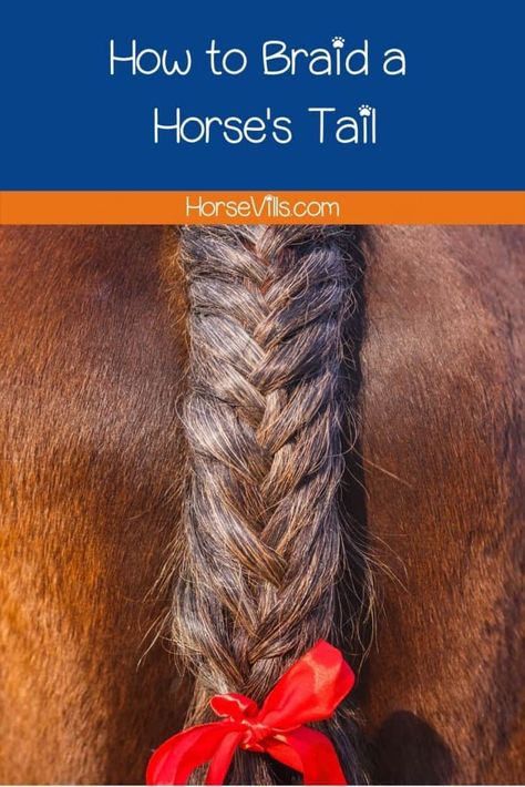 How to Braid a Horse's Tail: 3 Classic Styles (Step-by-Step) Horse Mane Braids With Ribbon, Horse Tail Braiding, Mane Braids, Horse Mane Braids, Horse Hair Braiding, Unique Braided Hairstyles, Horse Braiding, Hunter Horse, Fancy Braids