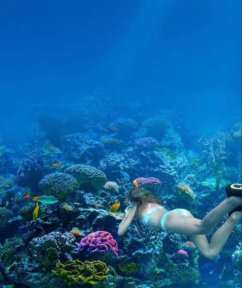 Hawaii Snorkeling Aesthetic, Ocean Lifestyle Aesthetic, Ocean Biology Aesthetic, Bottom Of The Ocean Aesthetic, Oeacn Aesthetic, Oceanographer Aesthetic, Snorkeling Pictures Aesthetic, Cute Snorkeling Pictures, Snorchling Aesthetic