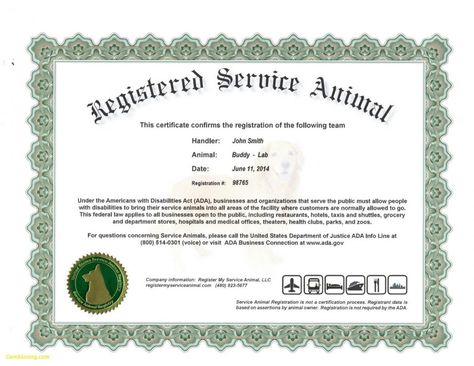 Dog Certificate, Dog Template, Training Certificate, Service Dog Training, Animal Templates, Awards Certificates Template, Id Card Template, Printable Certificates, Card Templates Free