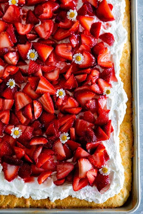 King Arthur Super Simple Strawberry Cake, Dessert Sheet Pan Recipes, Sheetpan Strawberry Shortcake, Strawberry Shortcake For A Crowd Parties, Sheet Cake Strawberry Shortcake, Sheet Pan Strawberry Shortcake, Strawberry Shortcake Dessert Ideas, Sheet Pan Cakes For A Crowd, Fresh Summer Desserts