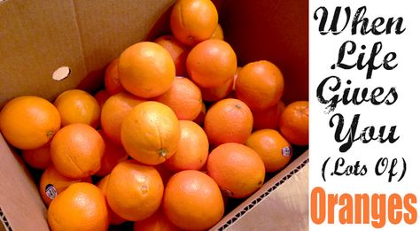 Navel Orange Recipes, Cooking Charts, Storing Produce, Canning 101, Preserving Herbs, Canning Food, Citrus Recipes, One Good Thing By Jillee, Ninja Blender