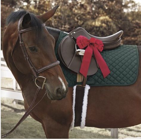 Aesthetic Horses, Horse Jumps, Apj Quotes, Dover Saddlery, Christmas Horse, Jumping Saddle, Foam Panels, Horse Tips, Horse Owner