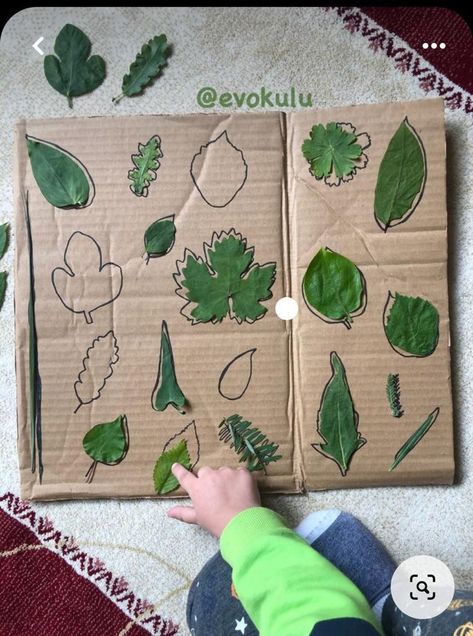 Outdoor Montessori Activities, Forest Activities For Preschool, Forest School Activities, Nature Projects, Nursery Activities, Nature School, Baby Learning Activities, Fall Preschool, Hairstyles Kids