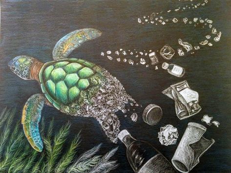 PISCATAWAY, NJ - Mary Dvorsky, a Piscataway High School senior, won an Honorable Mention award and a $250 cash prize for her Art Category submission to the 2015 International Ocean Awareness... Ocean Awareness, Marine Life Art, Gcse Art Sketchbook, Ocean Pollution, Plastic Art, Earth Art, Plastic Pollution, Gcse Art, Cash Prize