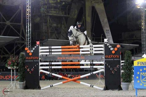 2.10 meters! Show Jumping Horses, Hunter Jumper, All The Pretty Horses, Horse Crazy, Sport Horse, Horse Equestrian, Equestrian Life, Horse Jumping, Equine Photography