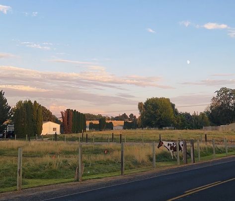 #aesthetic #country #western #horse #texas The Iron Claw Aesthetic, Western Texas Aesthetic, Appalachian Country Aesthetic, Country Americana Aesthetic, Rural Texas Aesthetic, South Texas Aesthetic, Texas Home Aesthetic, Hill Country Aesthetic, Western America Aesthetic