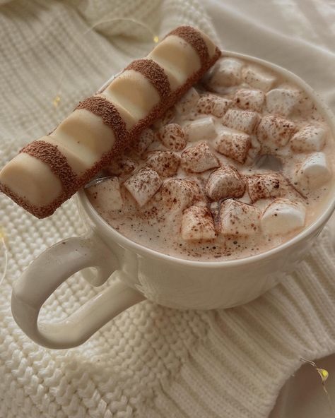 Winter Hot Chocolate Aesthetic, Christmas Ashestic, Aesthetic Essen, Hot Chocolate Aesthetic, Chocolate Aesthetic, Pumpkin Spice Season, Food O, Pretty Drinks, Winter Drinks