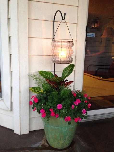 Planters Decorating Ideas, Simple Cheap Yard Ideas, Outdoor Flower Pot Ideas Diy, Back Porch Plant Decorating, Plants On Patio Ideas, Outdoor Citronella Ideas, Large Planter Pot Ideas, Outdoor Patio Decorating Ideas Flower Pots, Milk Can Landscaping Ideas