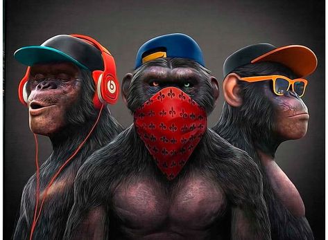 Rasta Art, Monkey Wall Art, Three Monkeys, Gorillas Art, Monkey Tattoos, Monkey Wall, Three Wise Monkeys, Monkey Wallpaper, Wise Monkeys