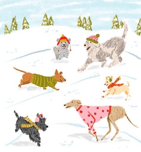 Kalyn Kepner | Illustrator and Designer (@kalynkepner) • Instagram photos and videos Monthly Drawing Challenge, 2022 Sweaters, Snow Illustration, Friends Illustration, Dog Christmas Card, Unique Christmas Cards, Winter Illustration, Beautiful Christmas Cards, Dog Cards