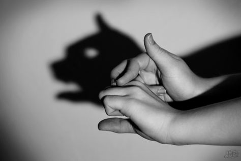 cat Shadow Puppets With Hands, Cat Shadow, Hand Shadows, Shadow Theatre, Shadow Art, Shadow Puppets, Flower Names, Do Not Fear, Funny Cat Pictures