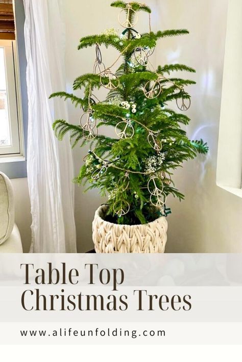 Tabletop Christmas Trees: A Festive Touch for Small Spaces Table Top Christmas Trees, Tabletop Christmas Trees, Christmas Tabletop, Tabletop Christmas Tree, Traditional Christmas Tree, Display Cases, Vintage Tree, Traditional Christmas, Display Case