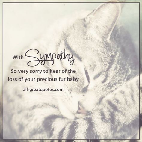 With Sympathy So very sorry to hear of the loss of your precious fur baby. | all-greatquotes.com #PetLoss #Cat #FurBaby Loss Of Kitty, Sympathy For Loss Of Cat, Sympathy Cat Loss, Sorry For The Loss Of Your Cat, Loss Of Cat Sympathy, Pet Sympathy Quotes, Fur Baby Quotes, Sympathy Condolences, Dog Heaven Quotes