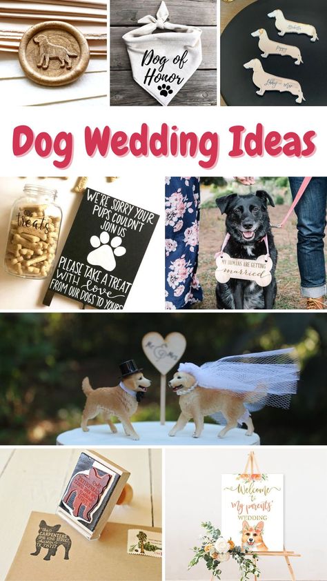 Black Lab Wedding Ideas, Wedding Pet Attendant, Dog Related Wedding Favors, Dog Signs For Wedding, Dog Themed Wedding Favors, Wedding Dogs Ideas, Dog Themed Wedding Ideas, Dog Themed Bridal Shower Ideas, Dog Bridal Shower Theme