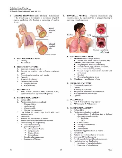 4 Respiratory Nursing, Nursing School Scholarships, Nurse Practitioner School, Nursing School Prerequisites, Schools In America, Family Nurse Practitioner, Surgical Nursing, Nursing School Survival, Respiratory Care