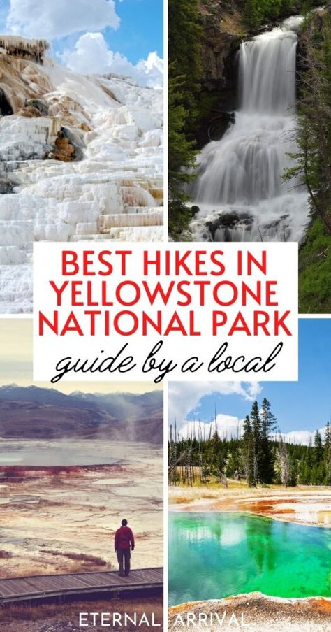 9 Best Hikes in Yellowstone for All Levels of Hikers - Eternal Arrival Best Yellowstone Hikes, Hiking In Yellowstone National Park, Yellowstone Planning, Yellowstone Hiking, Yellowstone Vacation Planning, Yellowstone Hikes, Wyoming Hiking, Yellowstone National Park Vacation, 2023 Vacation