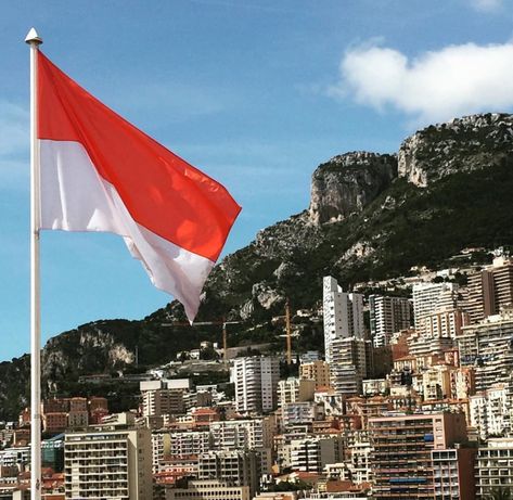 Monaco Flag, San Francisco Skyline, Formula 1, Monaco, Places To Go, Dream House, Flag, Collage, Pins