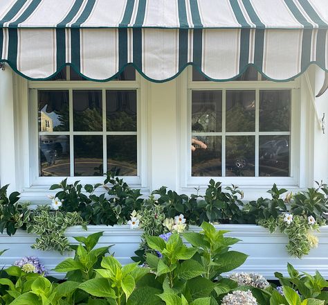 How to Choose Awnings for Your Home House With Awnings, Porch Valance, Cape Style House, Cafe Awning, Awning Over Door, Residential Awnings, Cape Style Homes, Canvas Awnings, Yellow Front Doors