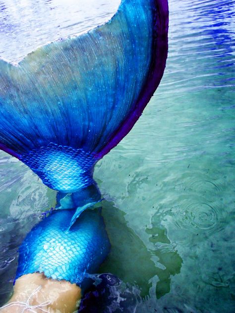 mermaid tail<3 Silicone Mermaid Tails, Mermaid Cove, Real Mermaids, Mermaid Tale, Mermaid Aesthetic, Mermaid Dreams, Mermaids And Mermen, Mermaid Life, Blue Mermaid