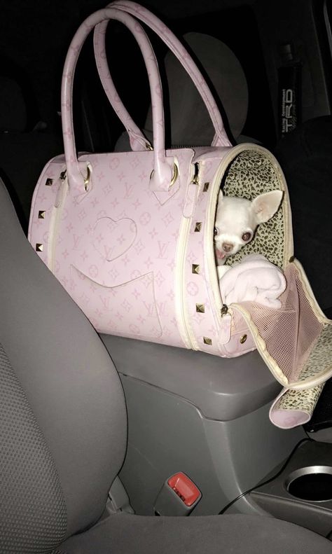 Chihuahua In Purse, Purse Puppy, Dog In Purse, Purse Dog, Puppy Mom, Pet Bunny Rabbits, Spoiled Dogs, Dog Mommy, Pet Bag