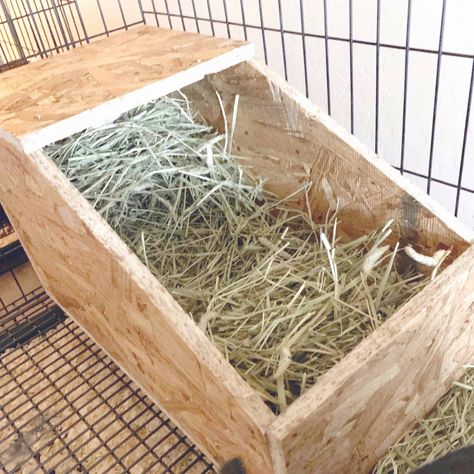 Rabbit Nesting Box Diy, Rabbit Nesting Box, Bunny Setup, Rabbit Playground, Rabbit Things, Nesting Boxes Diy, Rabbit Breeding, Rabbit Farming, Rabbit Nest