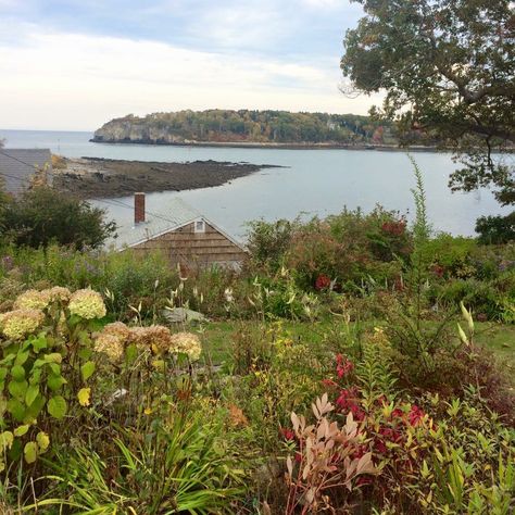 Cottages In Maine, Maine Aesthetic Fall, Maine Coast Aesthetic, Coastal Maine Aesthetic, Maine Countryside, Portland Maine Aesthetic, Peaks Island Maine, Maine Aesthetic, Maine Landscape