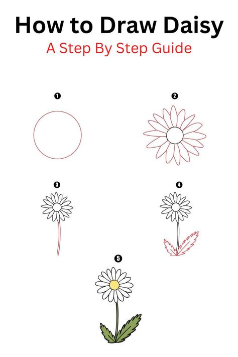 How to Draw Daisy Draw Daisy, Daisy Drawing, Cool Drawing, Flower Drawings, Art Enthusiast, One Flower, Step Drawing, Step By Step Guide, Step By Step Drawing